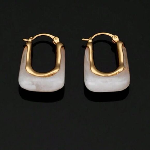 Anthropologie Jewelry - Nude crystal hoop earrings A50